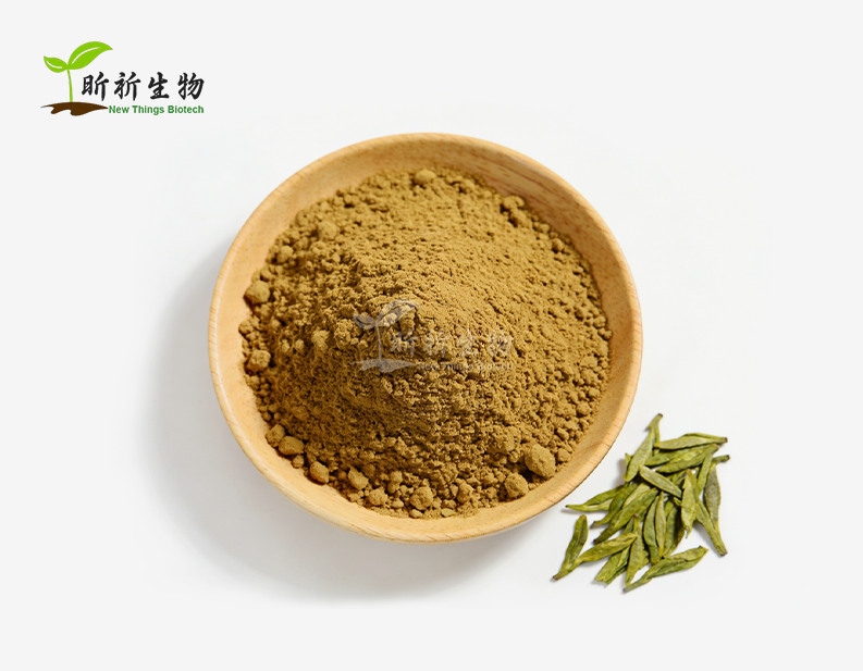 Green Tea Extract Powder